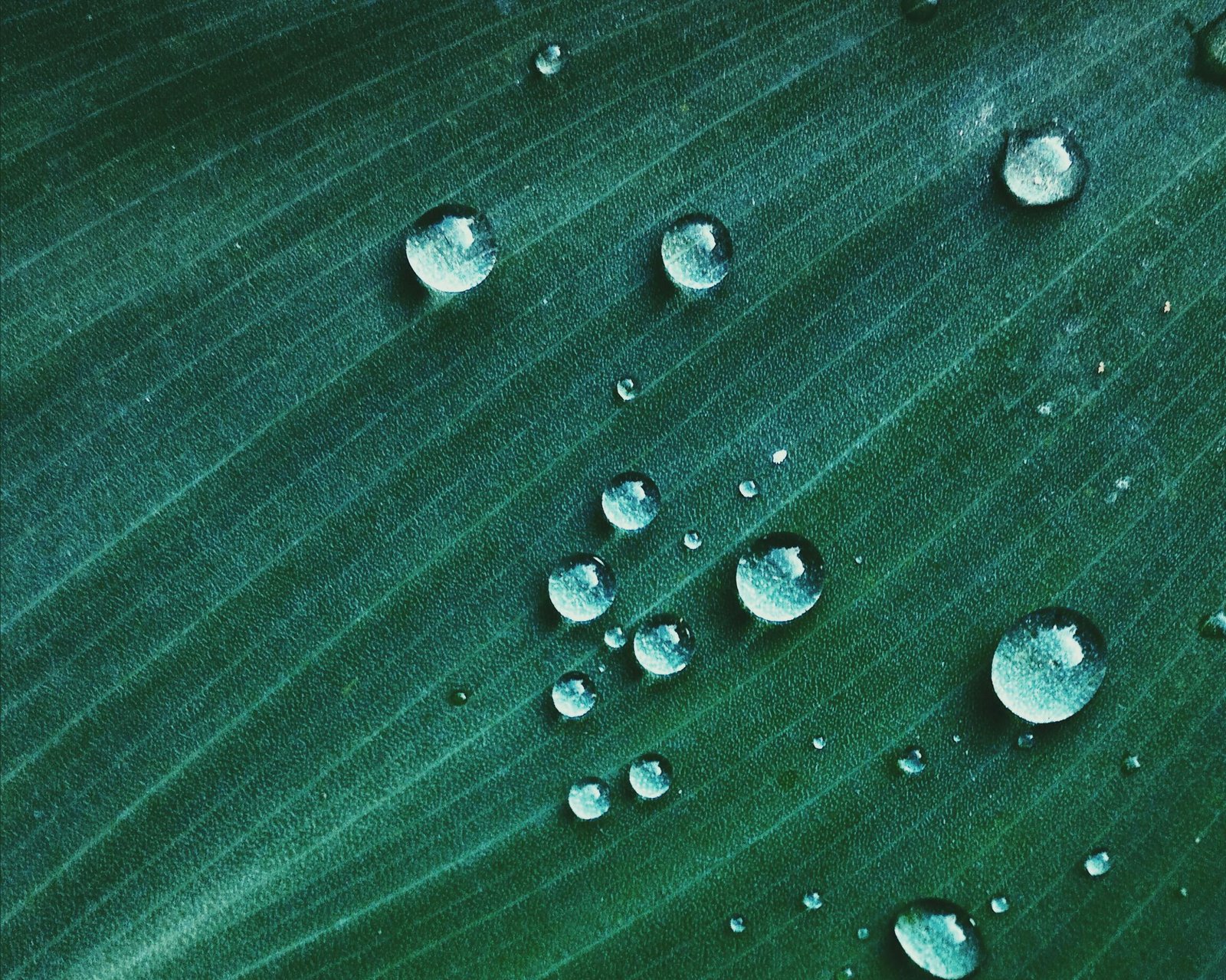 acqua e sostenibilità