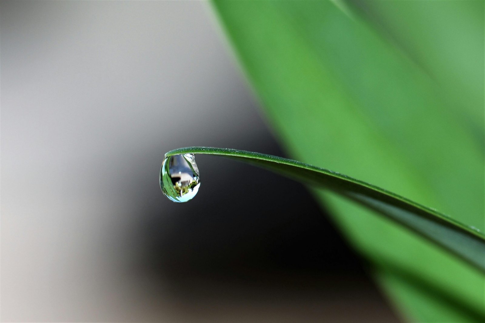 sostenibilità acqua